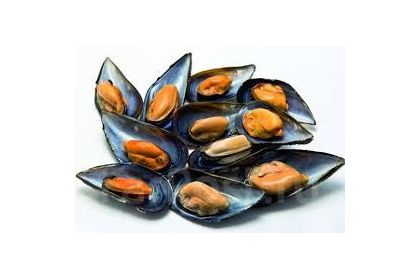 Мидии Грея (полустворки)